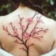 cherry blossom tattoo cover