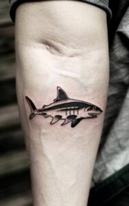 Shark Tattoo 15