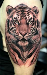 Tiger Tattoos 1