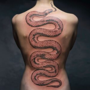 Japanese Snake 5