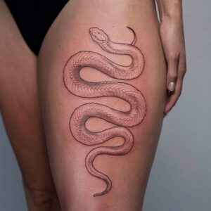 Japanese Snake 6